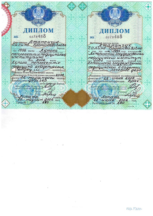Изображение №503